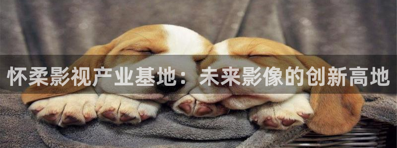 八戒八戒神马影院在线观看8