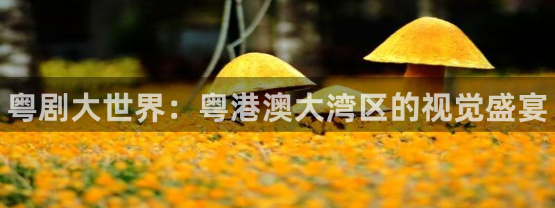 八戒八戒电影观看免费高清